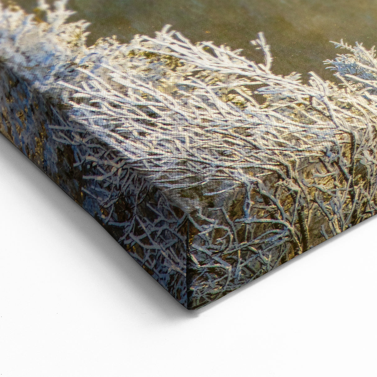 Blue Ridge Framed Art – North Carolina Frosty Pine Trees in Golden Light