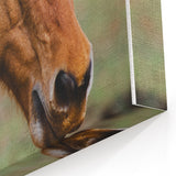 Rustic Farmhouse Art - Close-Up Horse Portrait for Rustic Wall Decor