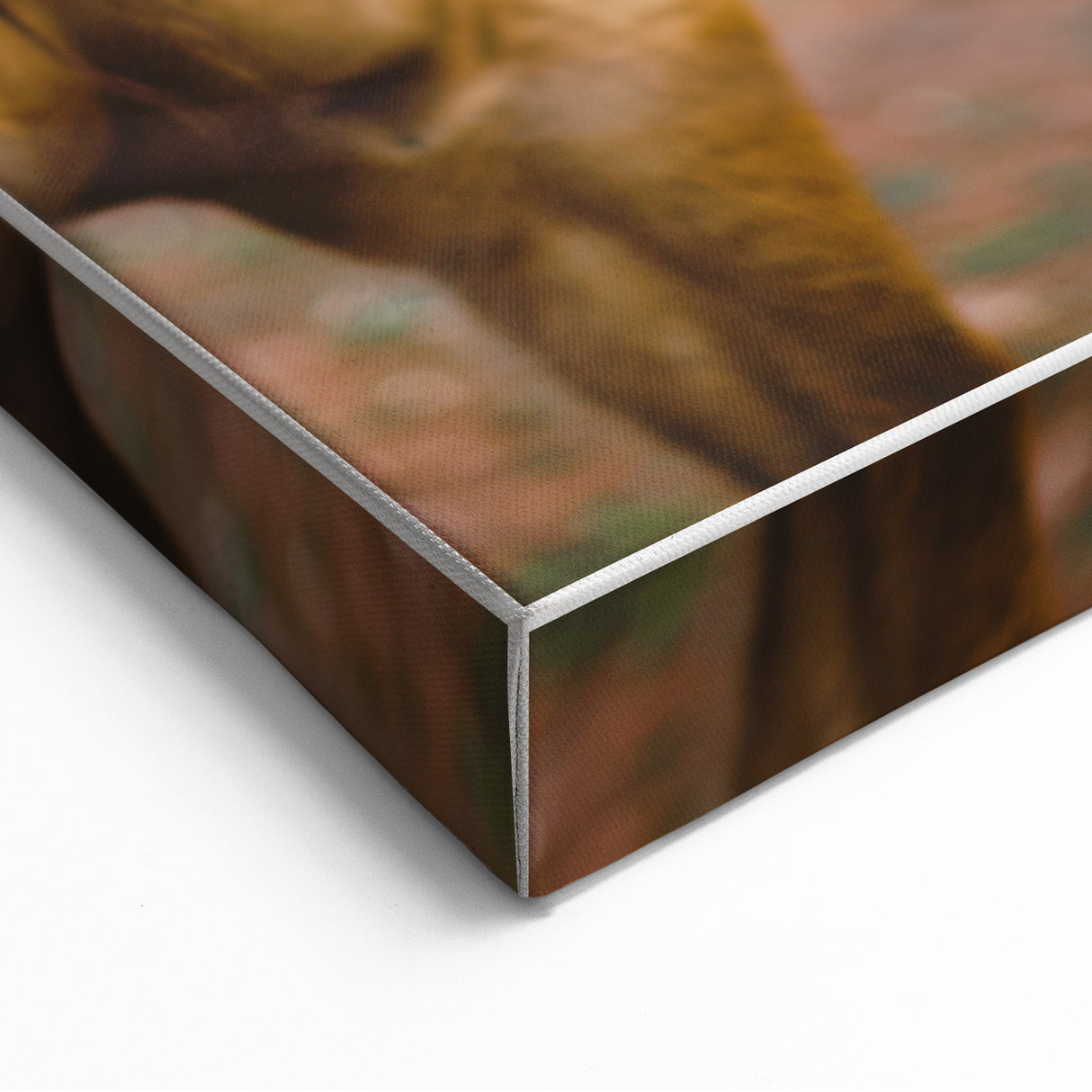 Rustic Farmhouse Art - Close-Up Horse Portrait for Rustic Wall Decor
