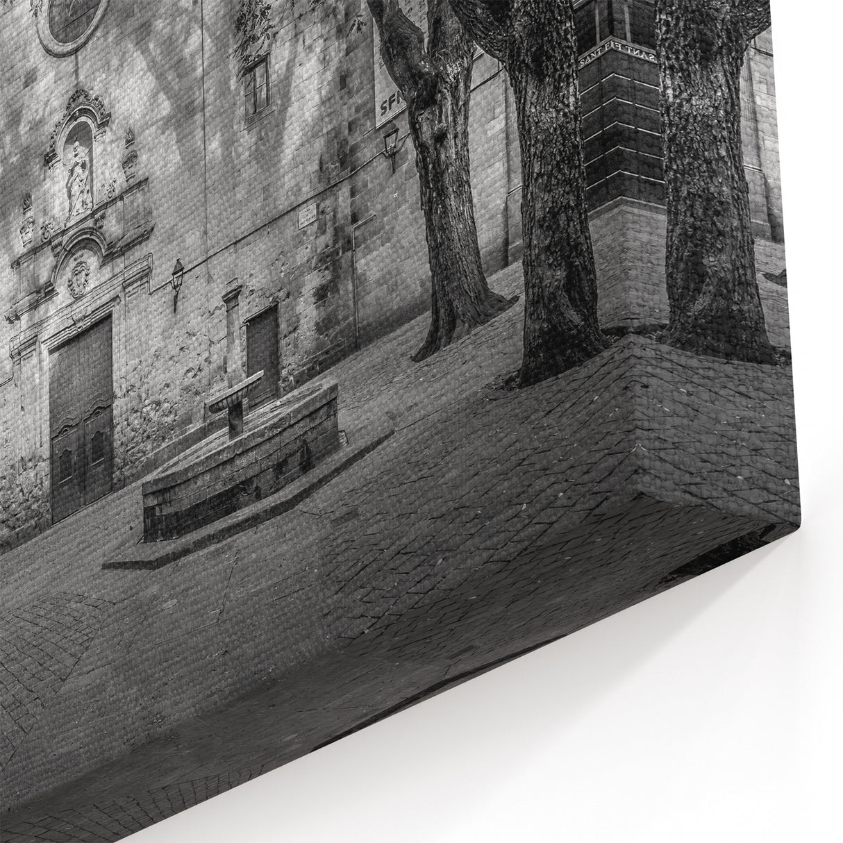 Barcelona Framed Art - Quiet Courtyard in the Gothic Quarter in Black and White