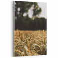 Rustic Wheat Field Wall Art - Nature-Inspired Farmhouse Decor