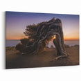 Canary Islands Landscape Art – Dramatic Twisted Tree at Sunset Scene