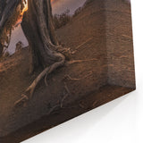 Canary Islands Landscape Art – Dramatic Twisted Tree at Sunset Scene