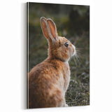Rustic Bunny Wall Art – Farmhouse Decor with Natural Wildlife Charm