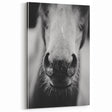 Black and White Horse Close-Up Wall Art – Rustic Farmhouse Decor
