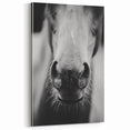 Black and White Horse Close-Up Wall Art – Rustic Farmhouse Decor