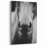Black and White Horse Close-Up Wall Art – Rustic Farmhouse Decor