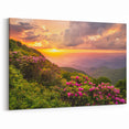 Scenic Blue Ridge Photography – North Carolina Sunset with Blooming Rhododendrons