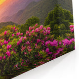 Scenic Blue Ridge Photography – North Carolina Sunset with Blooming Rhododendrons