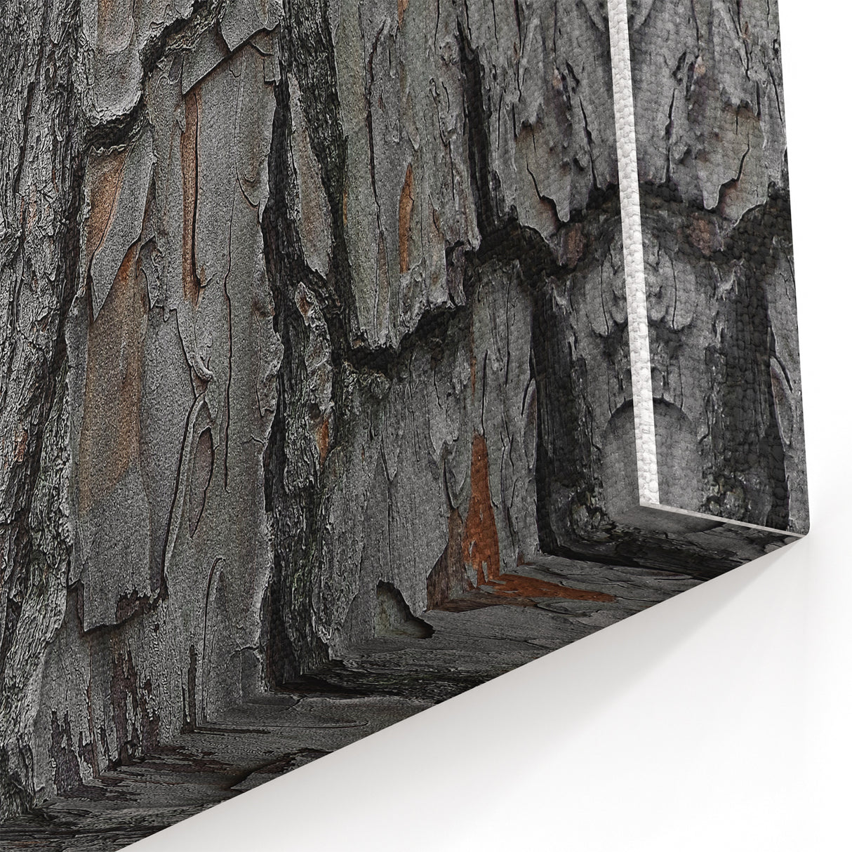 Rustic Tree Bark Texture Wall Art – Nature-Inspired Farmhouse Decor