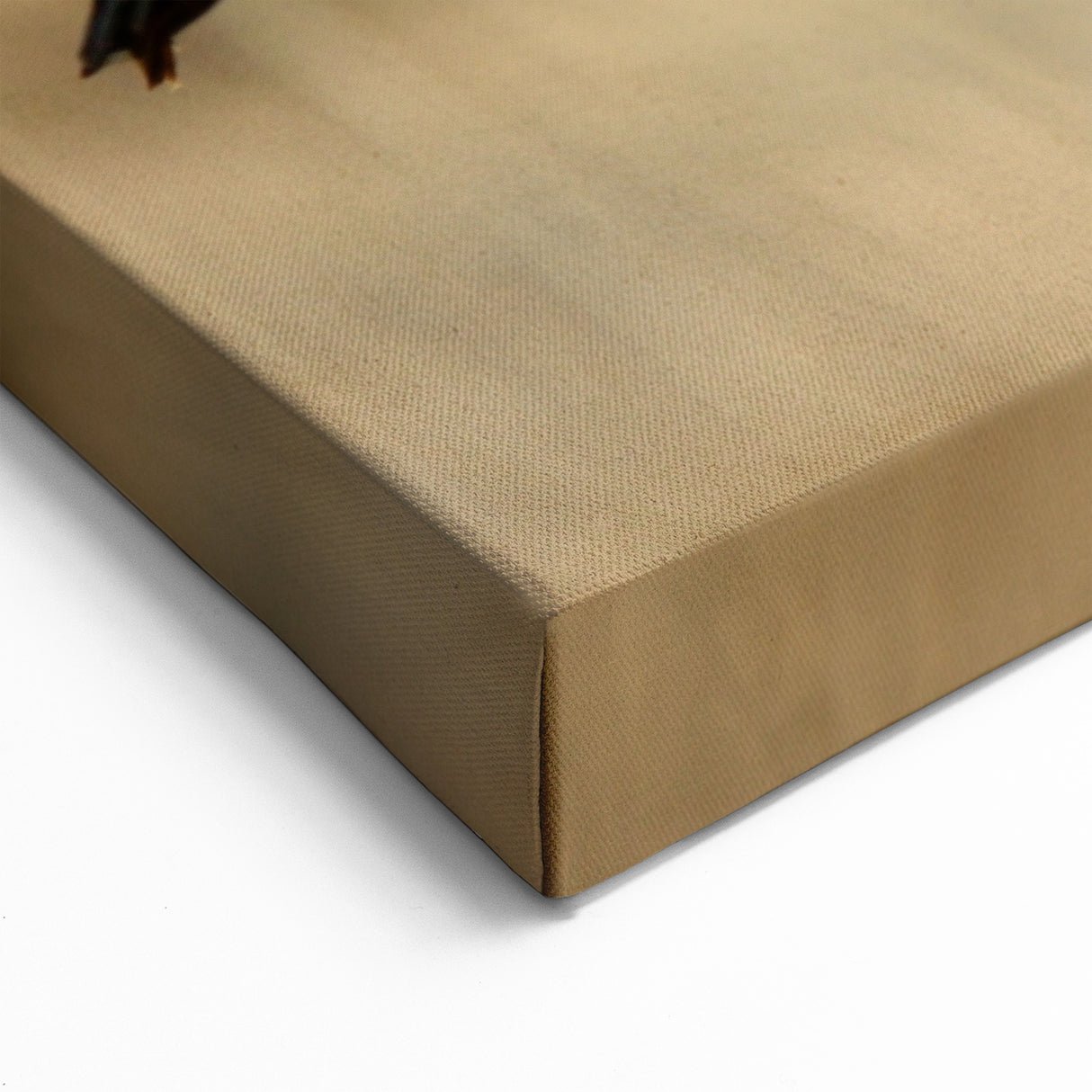 Graceful Canada Goose in Flight – Cape Hatteras Scenic Wall Art Print