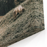 Rustic Sheep in Mountain Landscape – Farmhouse Pastoral Wall Art