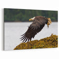Majestic Bald Eagle in Flight – Striking Wildlife Photography Wall Art