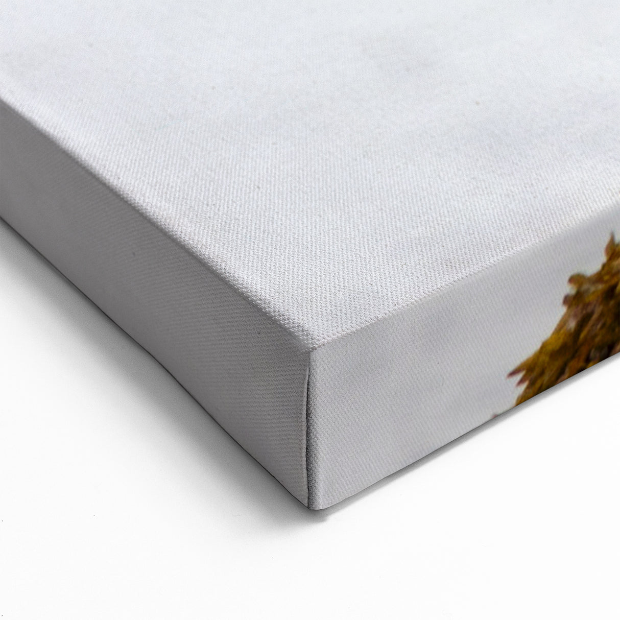 Majestic Bald Eagle in Flight – Striking Wildlife Photography Wall Art