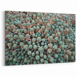 Canary Islands Wall Art - Scenic Cactus Landscape Canvas Print