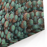 Canary Islands Wall Art - Scenic Cactus Landscape Canvas Print