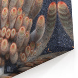 Canary Islands Canvas Prints - Unique Cactus Desert Landscape Art