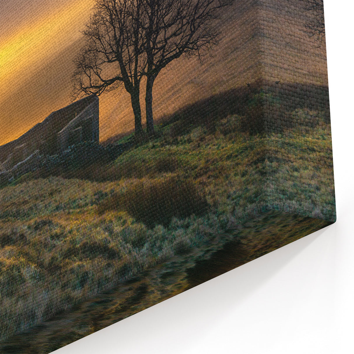 Charlotte Skyline Prints - Golden Sunset Views of Charlotte Cityscape Art