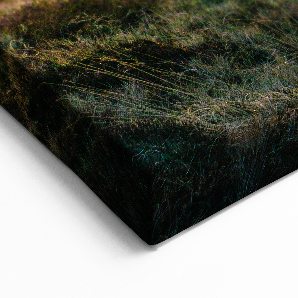 Charlotte Skyline Prints - Golden Sunset Views of Charlotte Cityscape Art