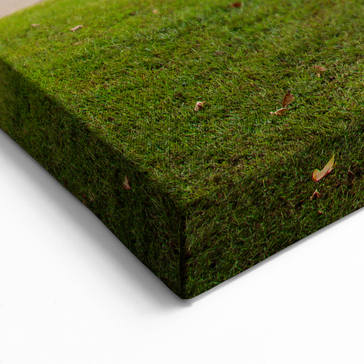 Charlotte Skyline Prints - Dramatic Outdoor Basketball Court North Carolina Art