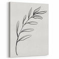Bohemian Wall Art | Minimalist Botanical Line Drawing | Nature-Inspired Decor