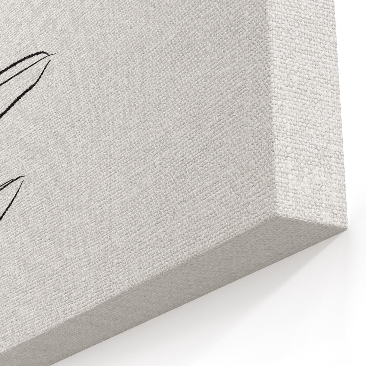 Bohemian Wall Art | Minimalist Botanical Line Drawing | Nature-Inspired Decor