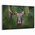 Swedish Wildlife Art - Majestic Moose in Forest Scenery