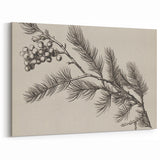 Electric Wall Art - Botanical Sketch of Pine Branch - Minimalist Decor