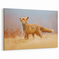 Sweden Scenery Prints - Majestic Red Fox in Swedish Fields Canvas Art