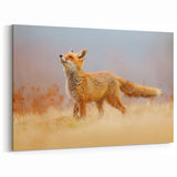 Sweden Scenery Prints - Majestic Red Fox in Swedish Fields Canvas Art