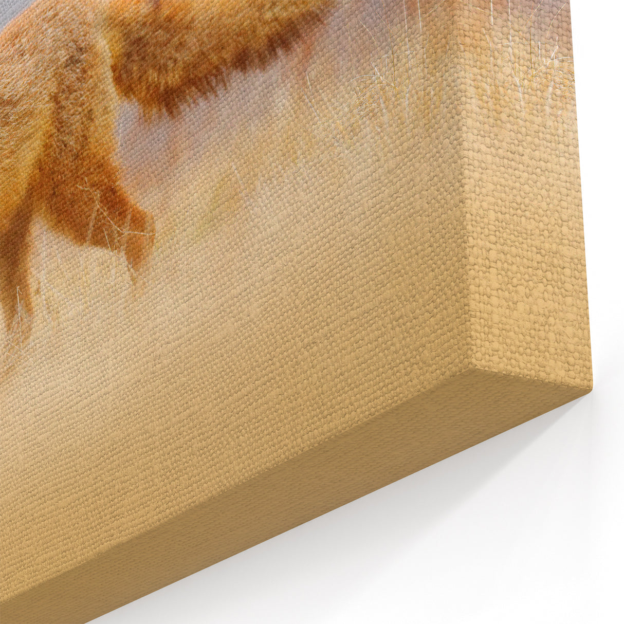 Sweden Scenery Prints - Majestic Red Fox in Swedish Fields Canvas Art