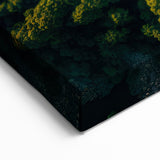 Swedish Landscape Art - Aerial View of Curving Forest Road Nordic Scenery