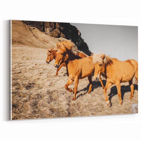 Rustic Horse Wall Art – Wild Horses Running in a Countryside Scene