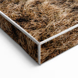 Rustic Horse Wall Art – Wild Horses Running in a Countryside Scene