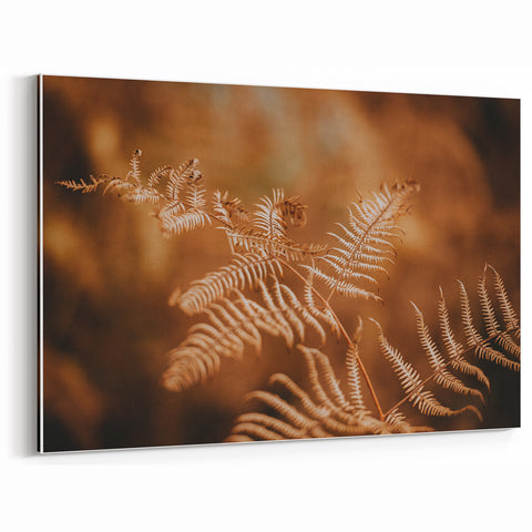 Rustic Fern Wall Art – Delicate Autumn Fern Leaves for Rustic Decor