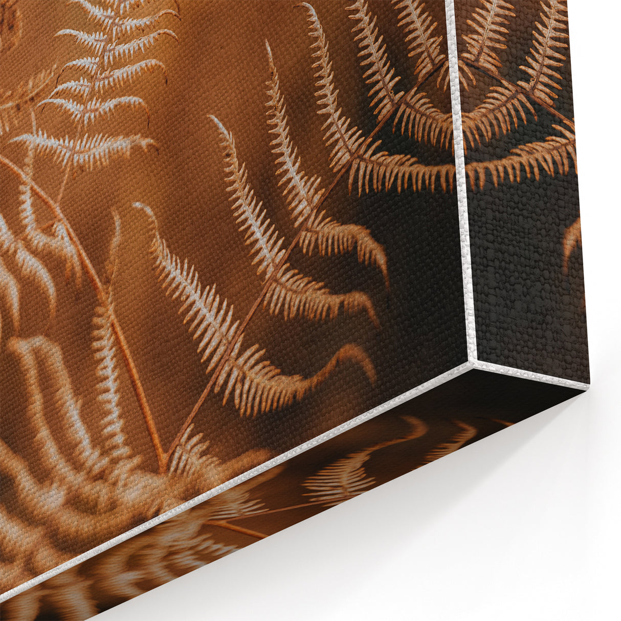Rustic Fern Wall Art – Delicate Autumn Fern Leaves for Rustic Decor