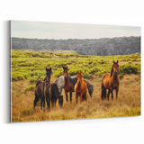 Rustic Wild Horses Wall Art – Majestic Horses Grazing in Open Field
