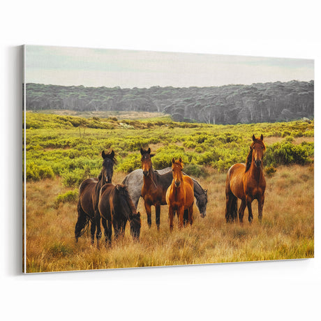 Rustic Wild Horses Wall Art – Majestic Horses Grazing in Open Field