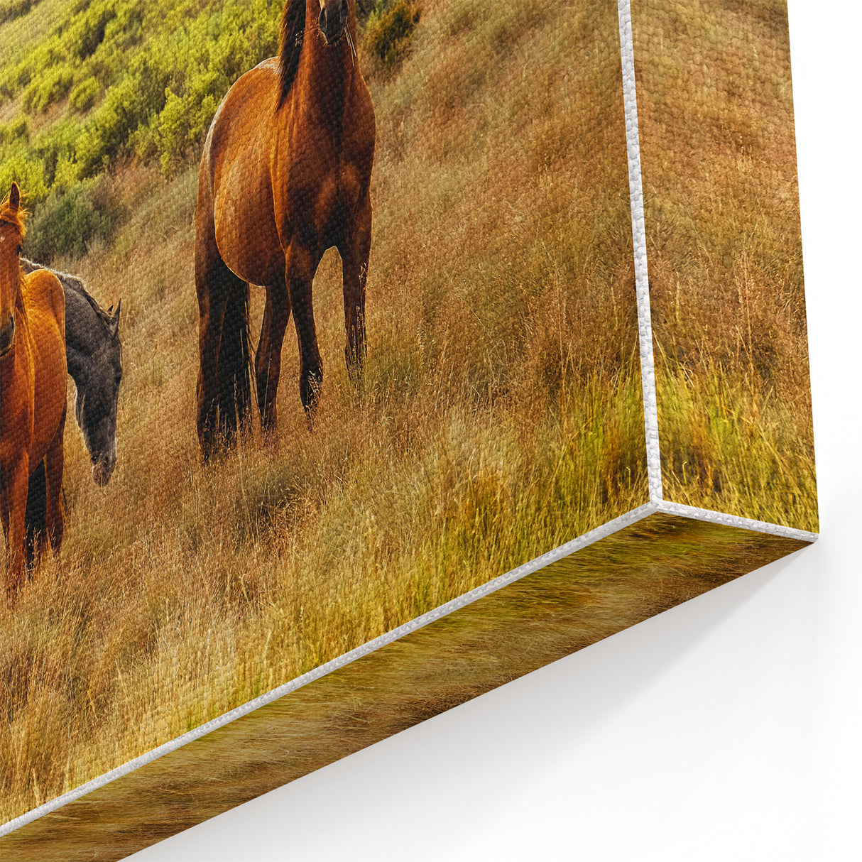 Rustic Wild Horses Wall Art – Majestic Horses Grazing in Open Field