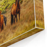 Rustic Wild Horses Wall Art – Majestic Horses Grazing in Open Field