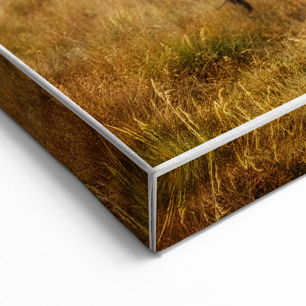 Rustic Wild Horses Wall Art – Majestic Horses Grazing in Open Field