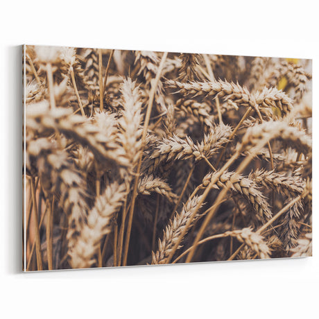 Close-Up Wheat Field Rustic Wall Art – Vintage Farmhouse Decor Print