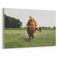 Highland Cattle in Field Rustic Wall Art – Farmhouse Landscape Decor Print