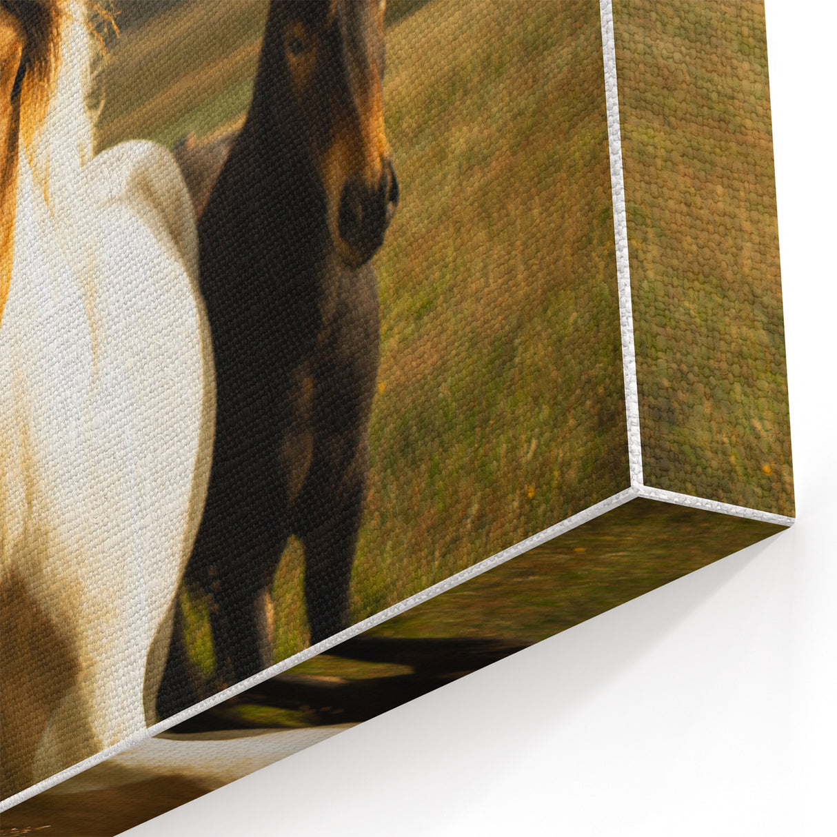 Wild Horses in Countryside Rustic Wall Art – Farmhouse Nature Decor Print