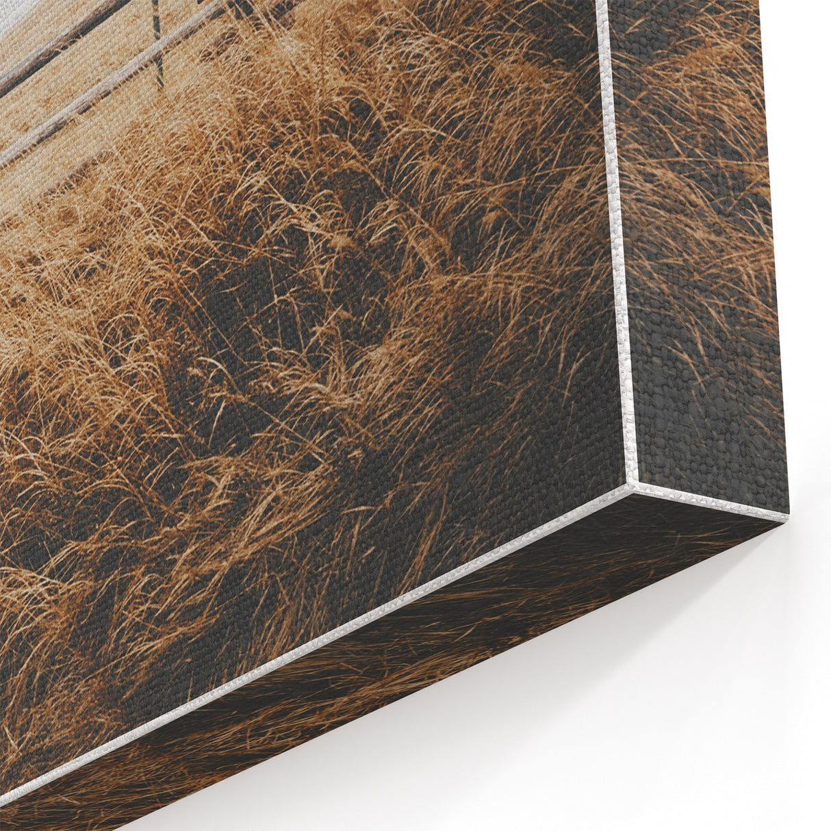 Windblown Prairie Grass Rustic Wall Art – Farmhouse Landscape Decor Print
