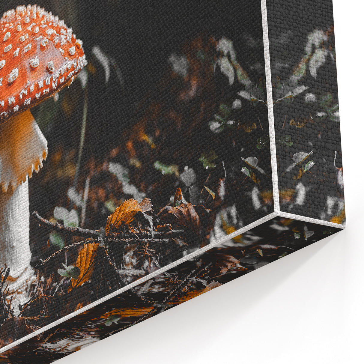 Forest Mushroom Close-Up Rustic Wall Art – Farmhouse Nature Decor Print
