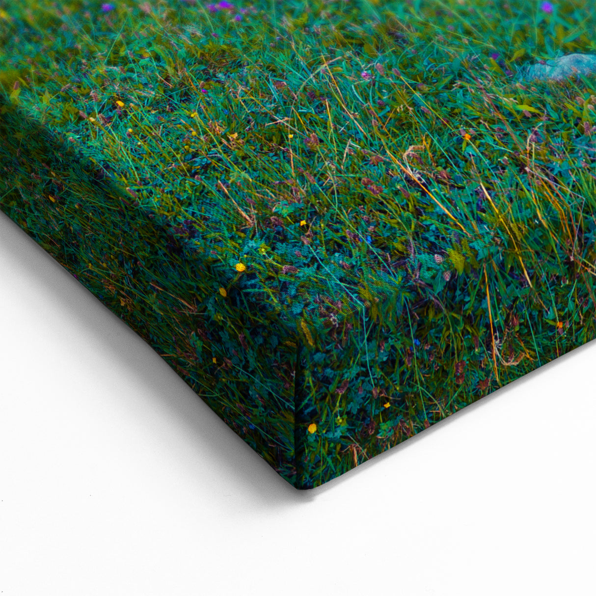 Switzerland Wall Art - Vibrant Mountain Lake Reflection Swiss Scenic Artwork