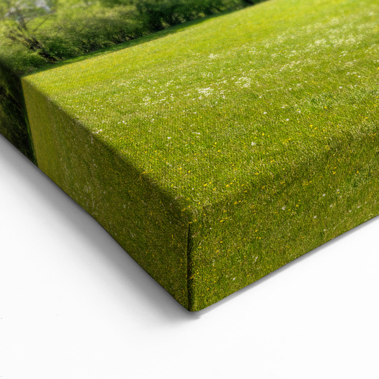 Switzerland Canvas Prints - Panoramic Swiss Valley and Lake View Scenic Wall Art