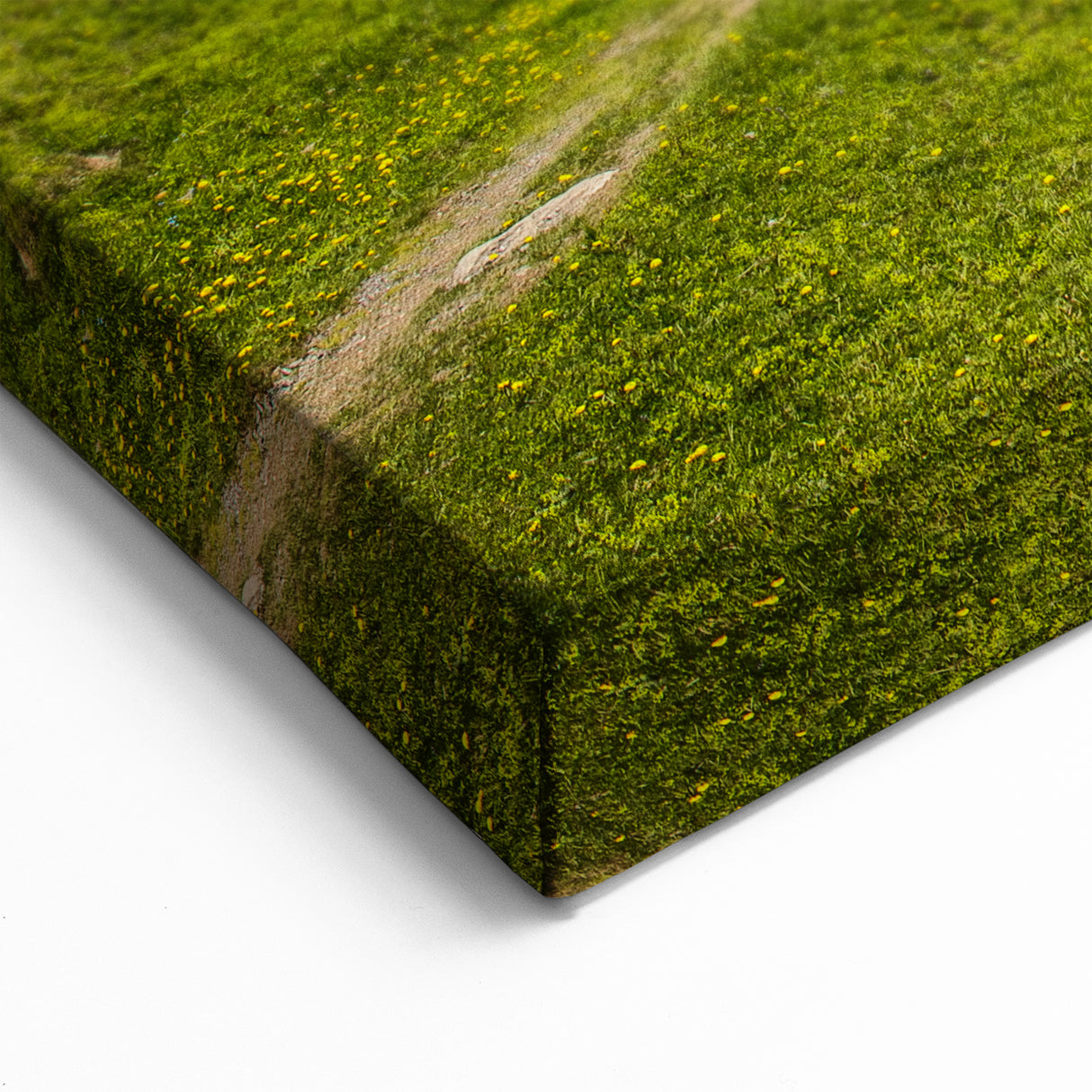 Swiss Scenic Wall Art - Majestic Mountain Lake View Switzerland Canvas Prints