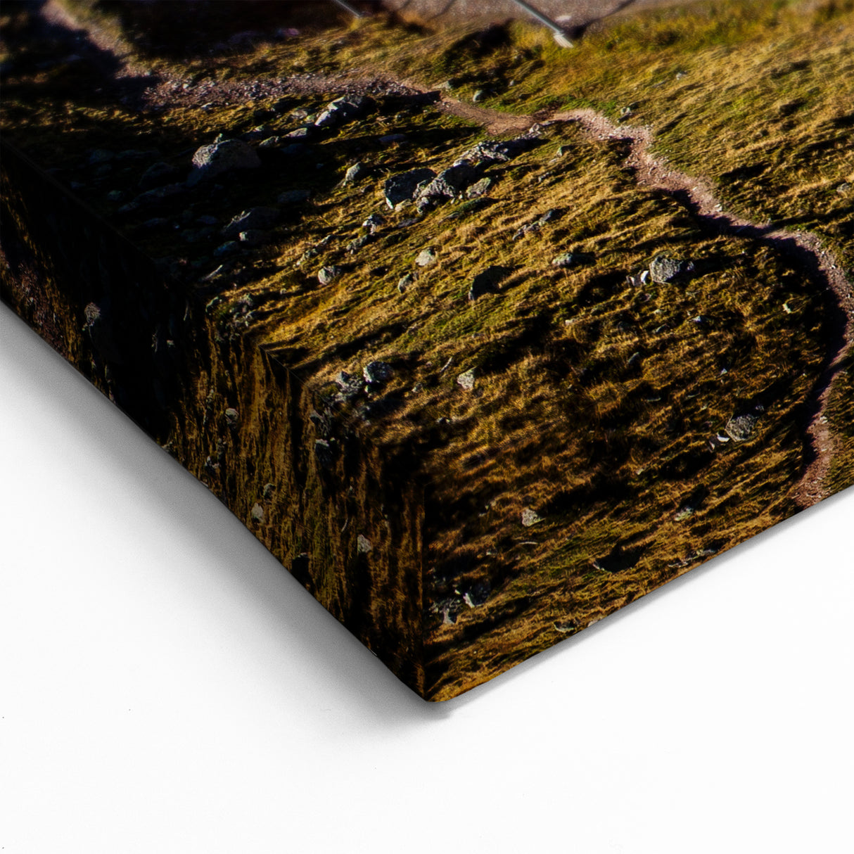 Swiss Scenic Wall Art - Red Mountain Train by Alpine Lake Switzerland Canvas Prints